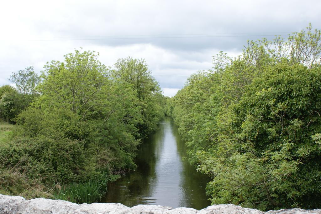 B&B The Silver Eel Strokestown Dış mekan fotoğraf